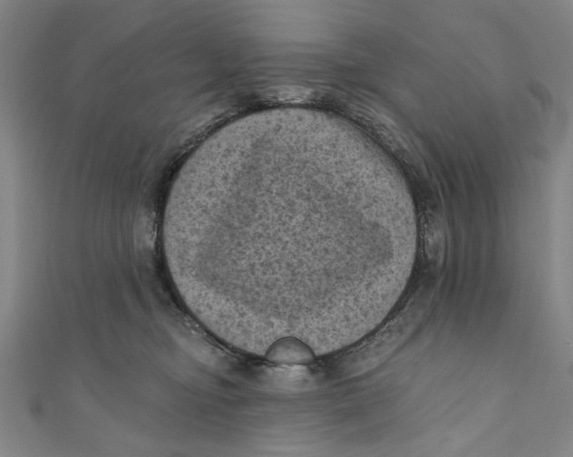 X0000110940374200907101251