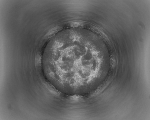 X0000110940375200907101251