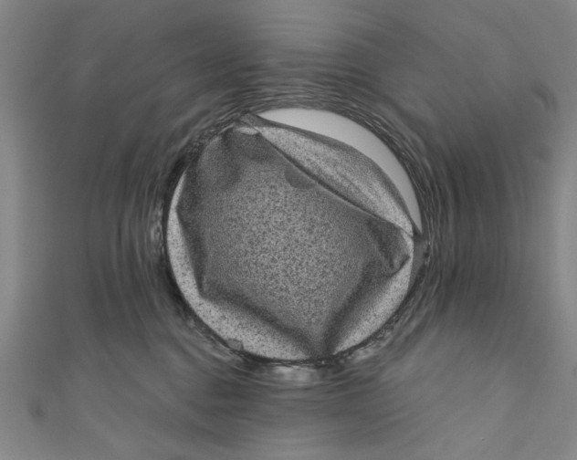 X0000110940376200907101251