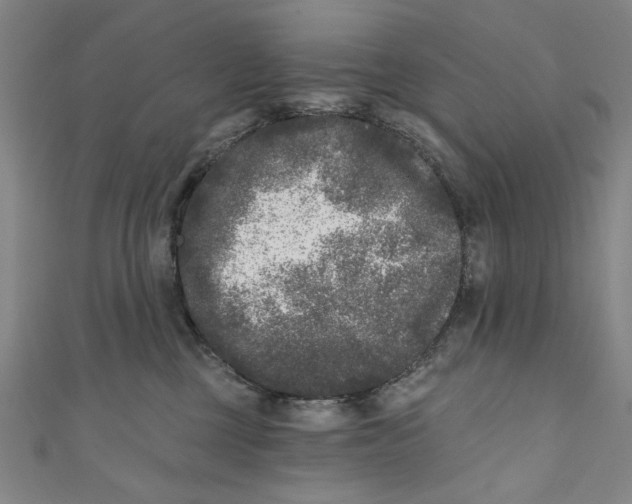 X0000110940377200907101252