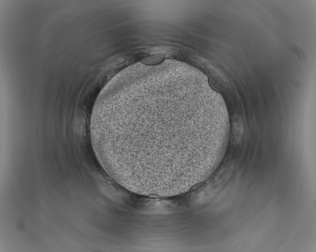 X0000110940379200907101252