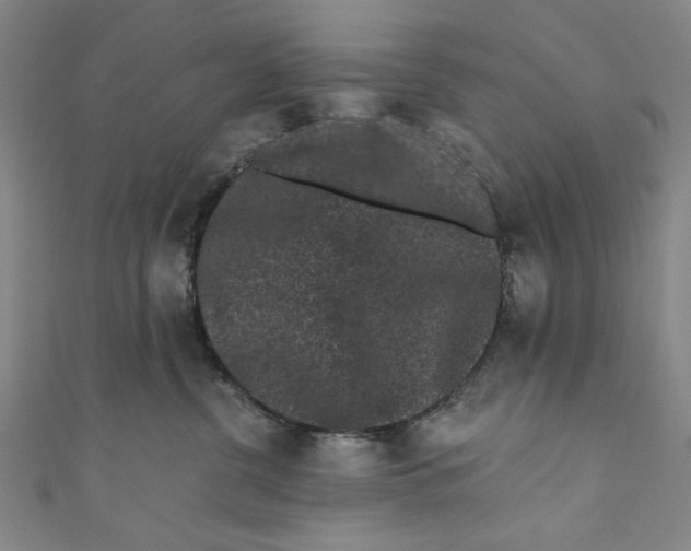 X0000110940380200907101252