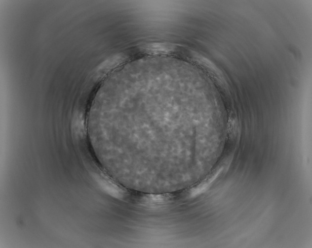 X0000110940381200907101252