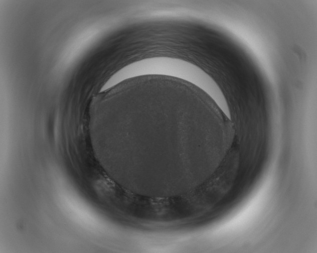 X0000110940382200907101252
