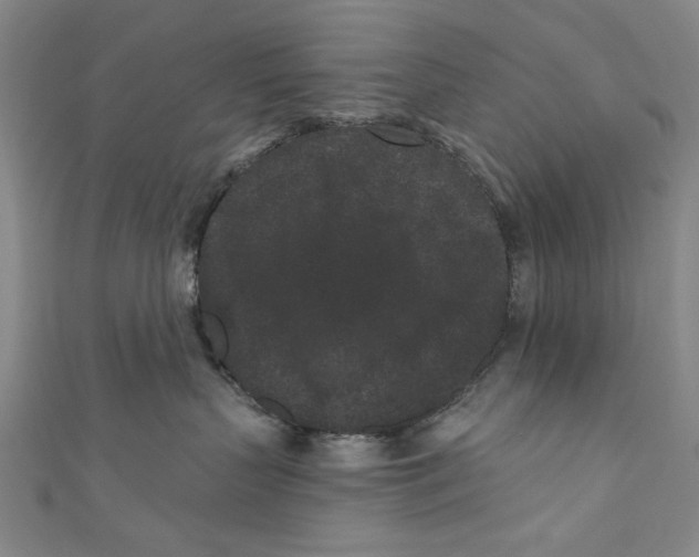 X0000110940383200907101252