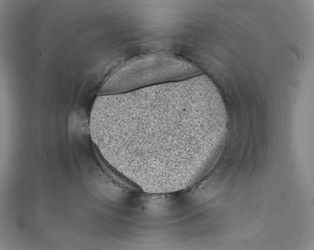 X0000110940384200907101252