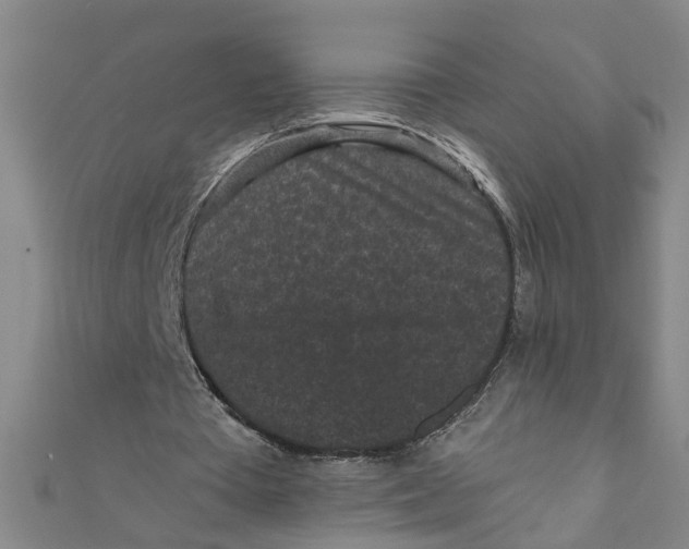X0000110940385200907101251