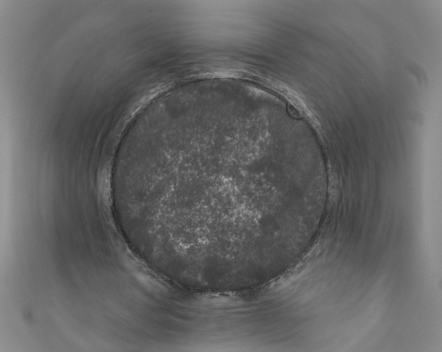 X0000110940386200907101251