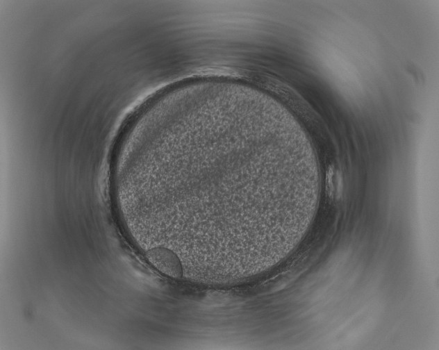 X0000110940388200907101251