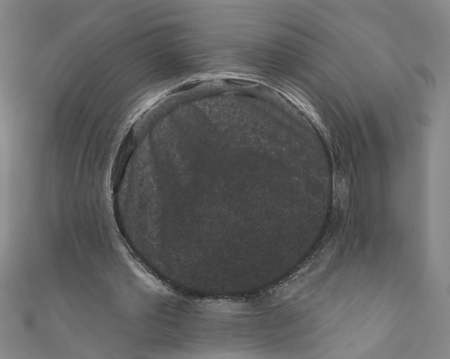 X0000110940389200907101251