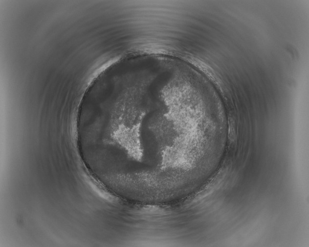 X0000110940390200907101251