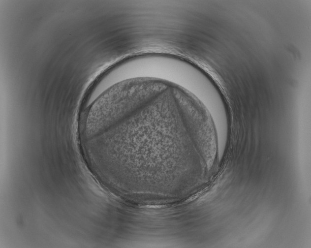 X0000110940391200907101251