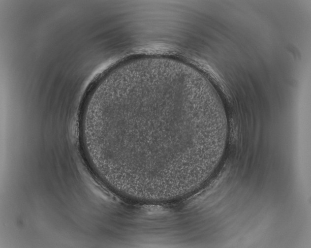 X0000110940392200907101251