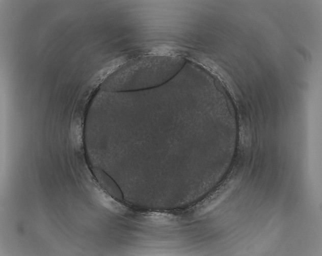X0000110940393200907101251