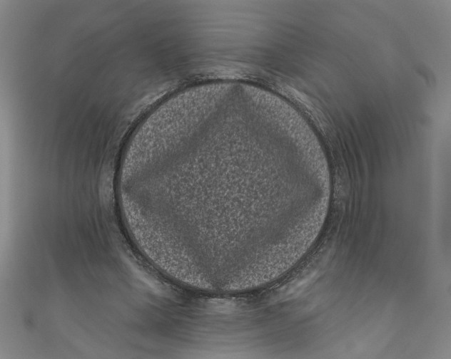 X0000110940394200907101251