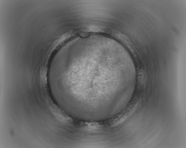 X0000110940395200907101251