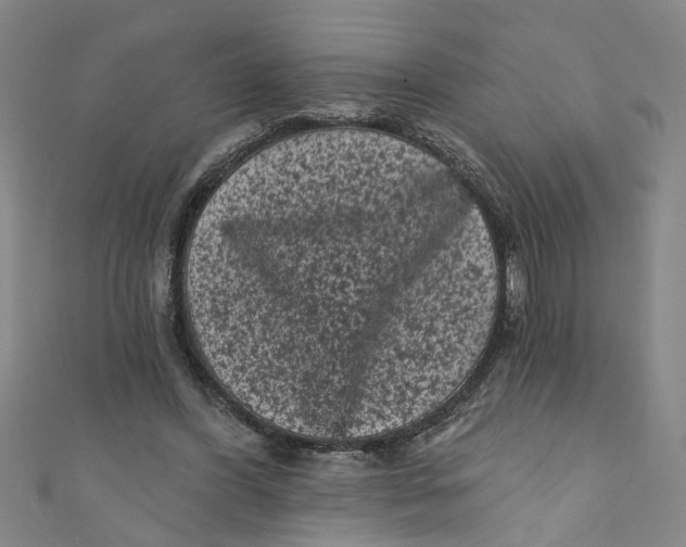 X0000110940396200907101251