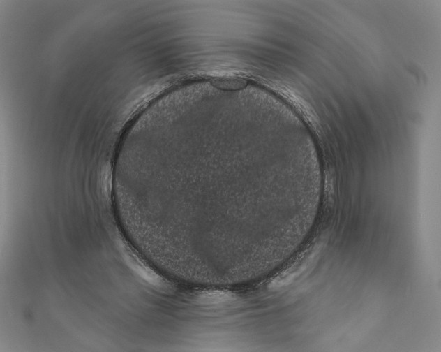 X0000110940397200907101251