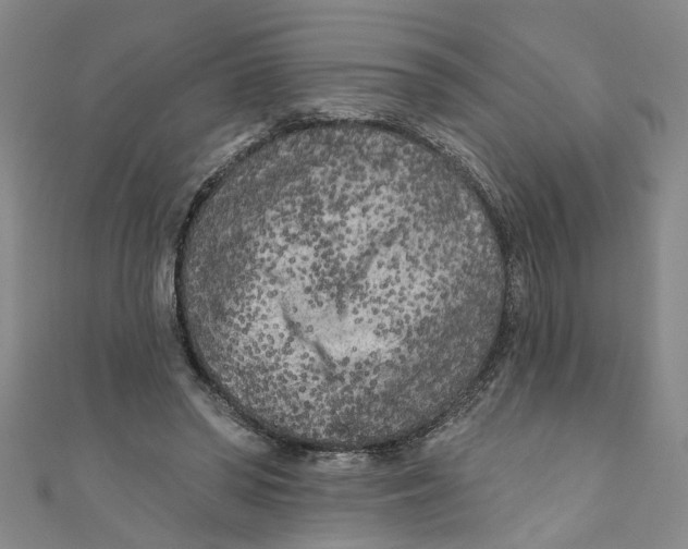 X0000110940398200907101251