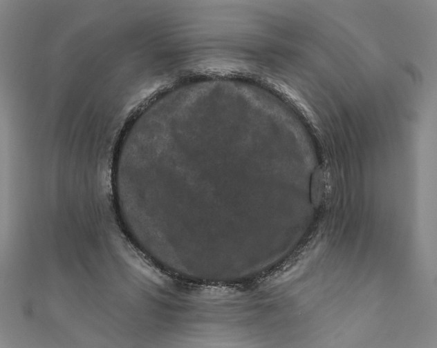 X0000110940399200907101251
