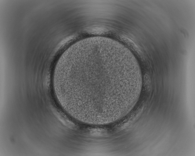 X0000110940400200907101251