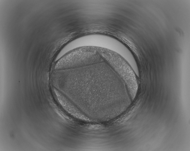 X0000110940401200907101251