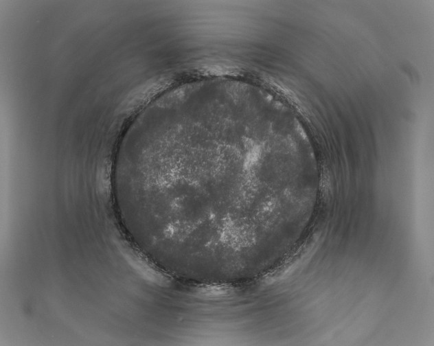 X0000110940402200907101251