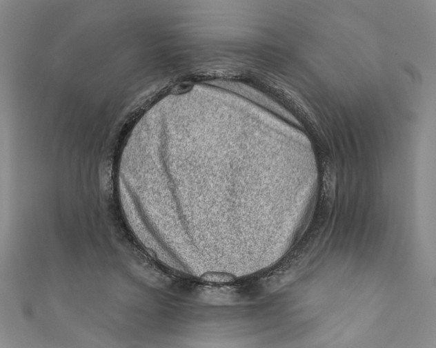 X0000110940403200907101251