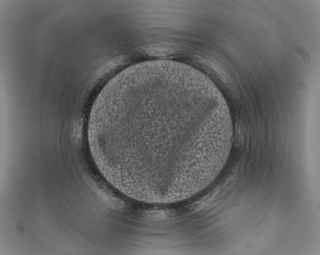 X0000110940404200907101251
