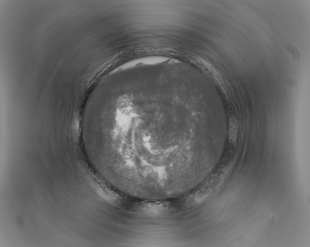 X0000110940405200907101251