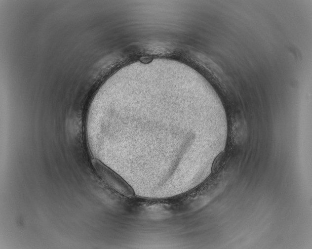 X0000110940407200907101251