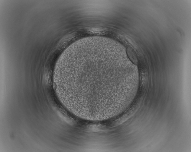 X0000110940408200907101251