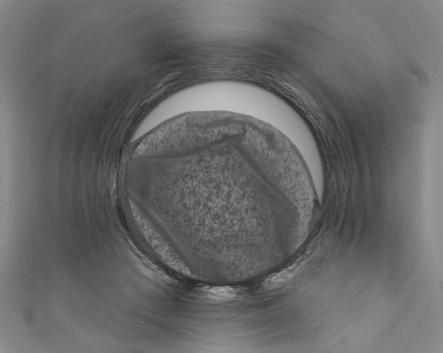 X0000110940409200907101251
