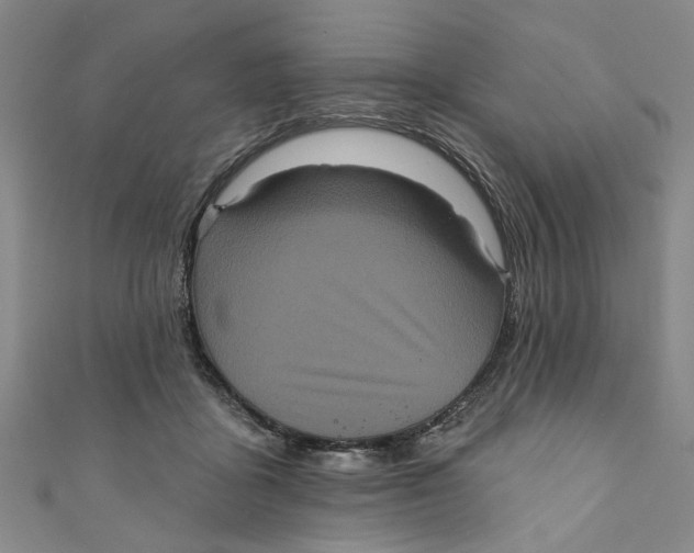 X0000110940411200907101251