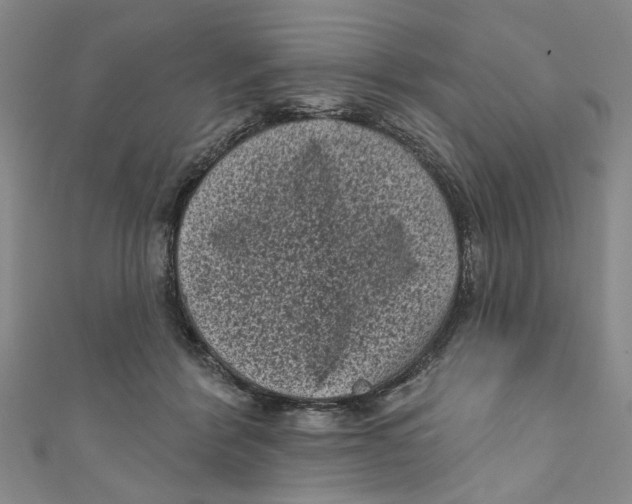 X0000110940412200907101251