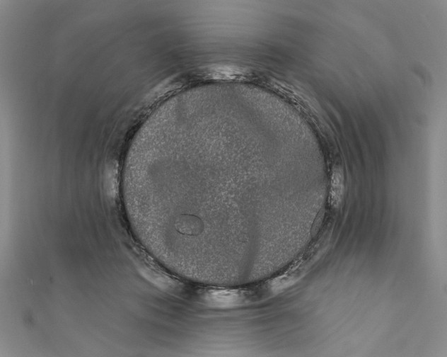 X0000110940413200907101251