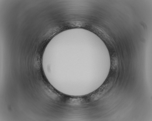 X0000110940414200907101251