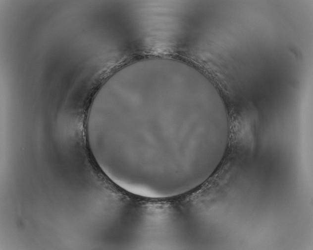 X0000110940415200907101251
