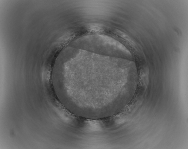X0000110940417200907101251