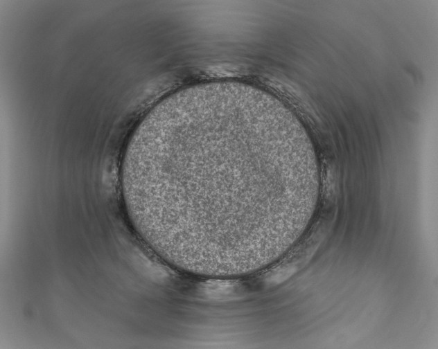 X0000110940418200907101251