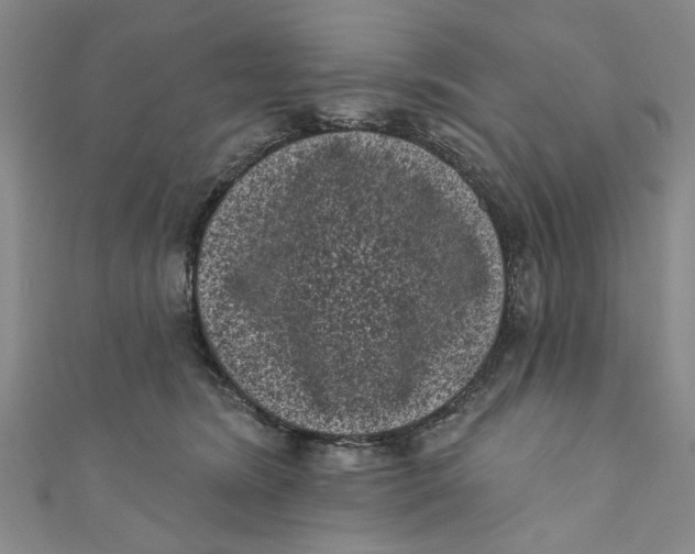 X0000110940420200907101251