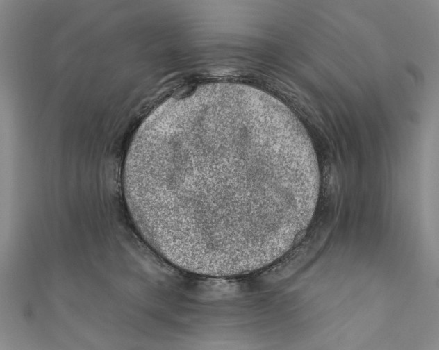 X0000110940421200907101251