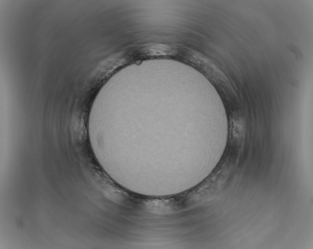 X0000110940422200907101251