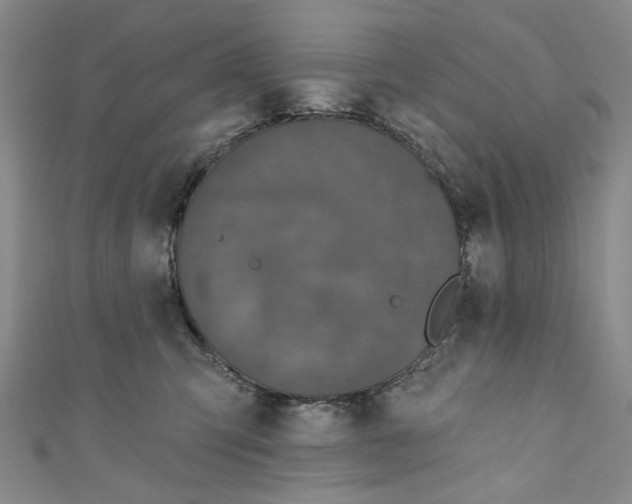 X0000110940423200907101250