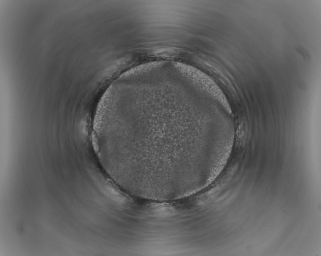 X0000110940424200907101250