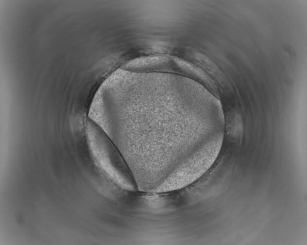 X0000110940425200907101250