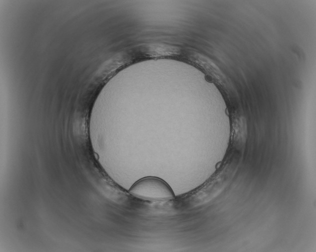 X0000110940426200907101250