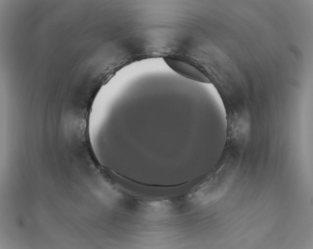 X0000110940427200907101250