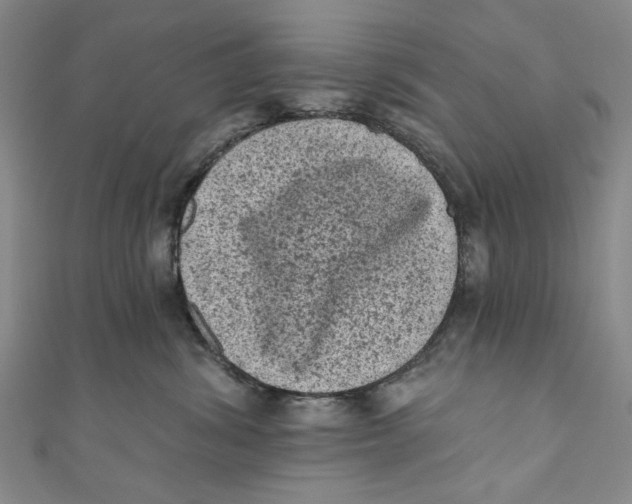 X0000110940428200907101250