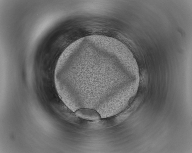 X0000110940430200907101250
